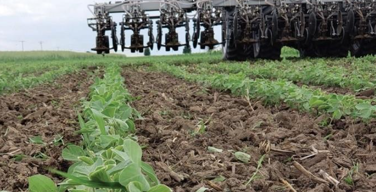 Organic Cultivators