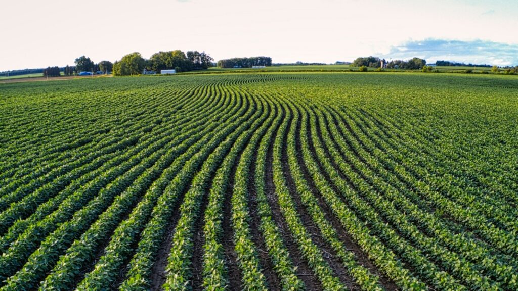 Cultivator Manufacturers