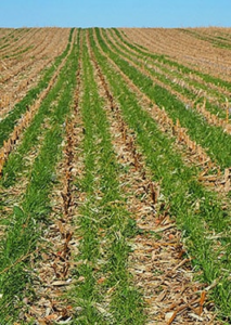 Windrowers