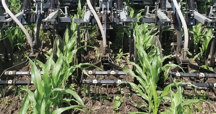 CultiPro Cultivator working